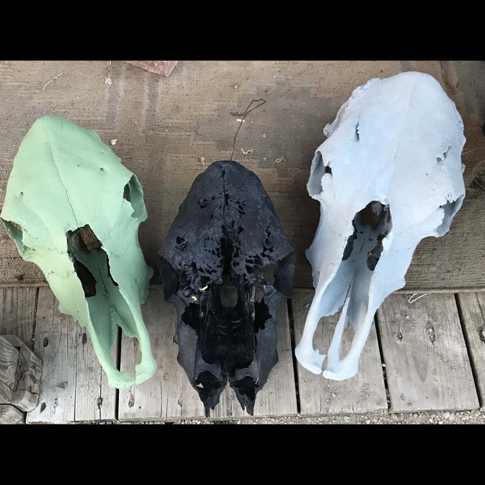 Cow decor - Picture 2 of 2